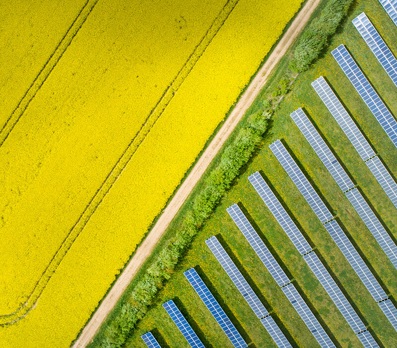 Energy & Natural Resources